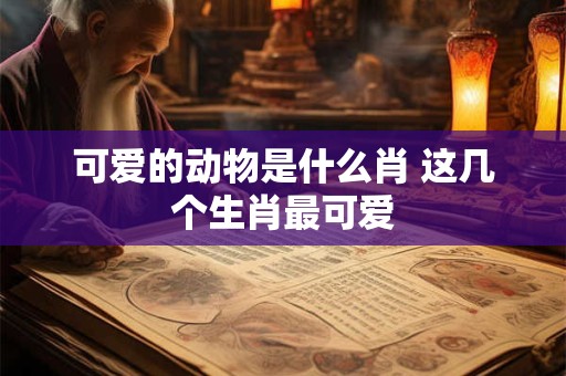 可爱的动物是什么肖 这几个生肖最可爱