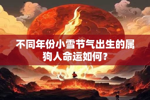 不同年份小雪节气出生的属狗人命运如何？