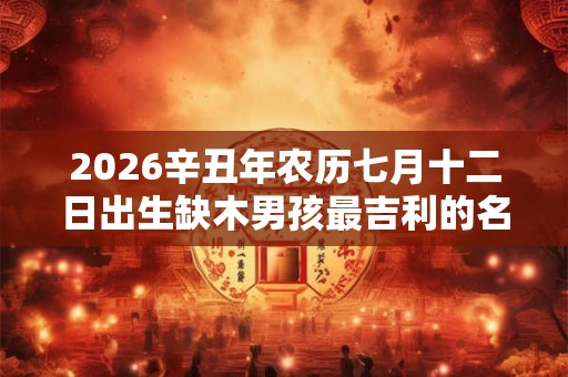 2026辛丑年农历七月十二日出生缺木男孩最吉利的名字