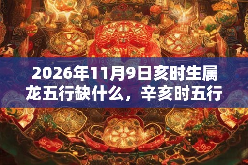 2026年11月9日亥时生属龙五行缺什么，辛亥时五行缺什么