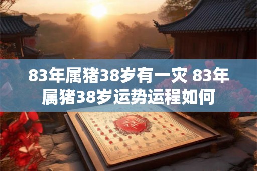 83年属猪38岁有一灾 83年属猪38岁运势运程如何