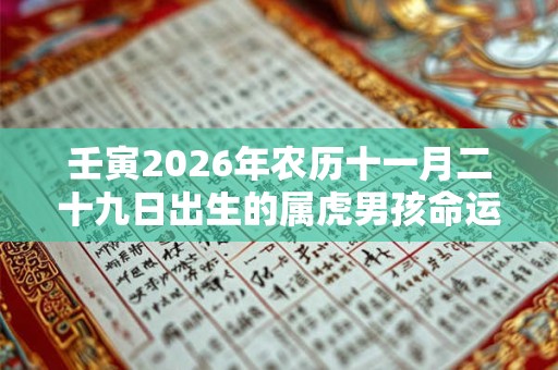 壬寅2026年农历十一月二十九日出生的属虎男孩命运分析 壬寅2026年农历十一月二十九日出生的属虎男孩命运分析