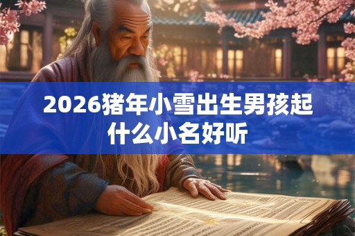 2026猪年小雪出生男孩起什么小名好听