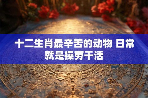 十二生肖最辛苦的动物 日常就是操劳干活