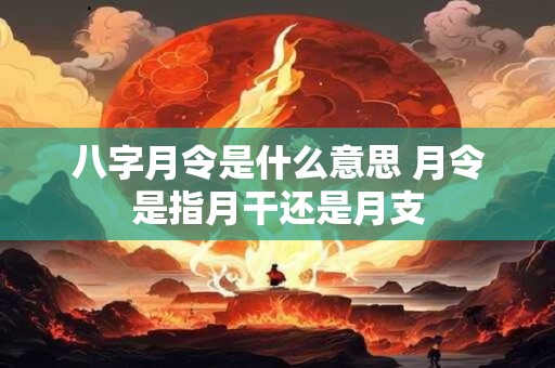 八字月令是什么意思 月令是指月干还是月支