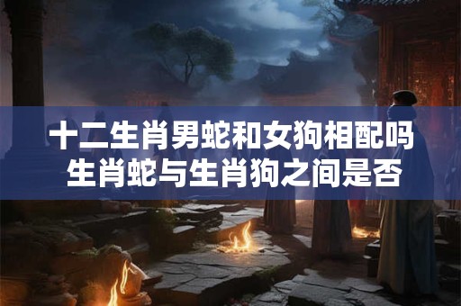 十二生肖男蛇和女狗相配吗 生肖蛇与生肖狗之间是否相配