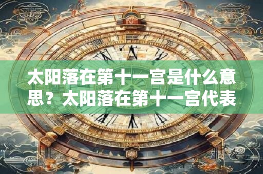 太阳落在第十一宫是什么意思？太阳落在第十一宫代表什么？