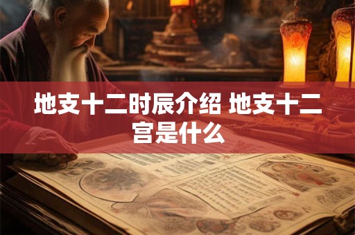 地支十二时辰介绍 地支十二宫是什么
