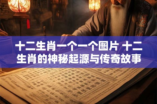 十二生肖一个一个图片 十二生肖的神秘起源与传奇故事