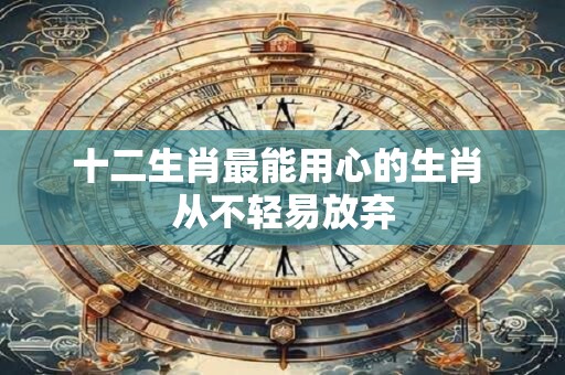 十二生肖最能用心的生肖 从不轻易放弃 十二生肖最能用心的生肖 从不轻易放弃