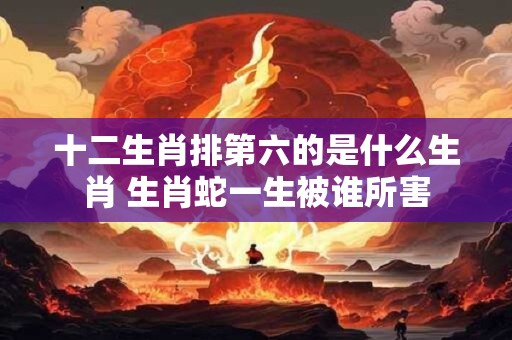 十二生肖排第六的是什么生肖 生肖蛇一生被谁所害 十二生肖排第六的是什么生肖 生肖蛇一生被谁所害