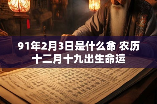 91年2月3日是什么命 农历十二月十九出生命运
