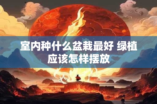 室内种什么盆栽最好 绿植应该怎样摆放 室内种什么盆栽最好 绿植应该怎样摆放