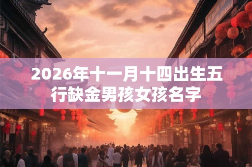 2026年十一月十四出生五行缺金男孩女孩名字