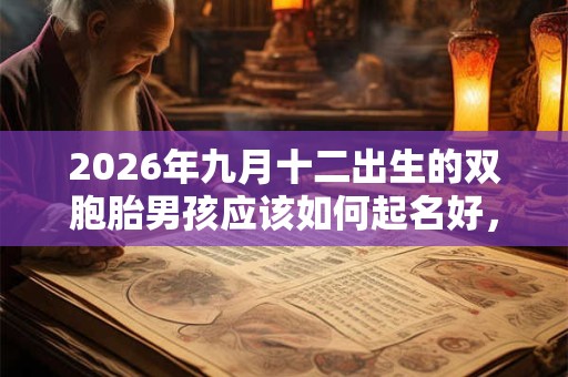 2026年九月十二出生的双胞胎男孩应该如何起名好，五行属什么