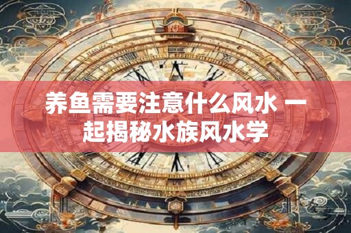 养鱼需要注意什么风水 一起揭秘水族风水学