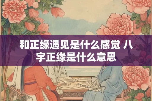和正缘遇见是什么感觉 八字正缘是什么意思