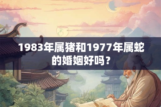 1983年属猪和1977年属蛇的婚姻好吗？