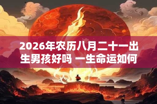2026年农历八月二十一出生男孩好吗 一生命运如何