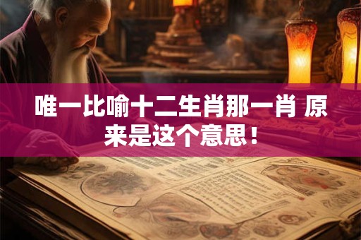 唯一比喻十二生肖那一肖 原来是这个意思！