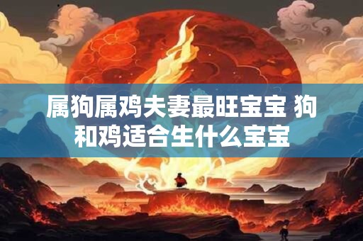 属狗属鸡夫妻最旺宝宝 狗和鸡适合生什么宝宝