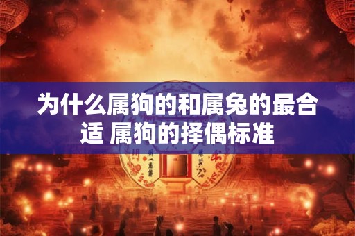 为什么属狗的和属兔的最合适 属狗的择偶标准