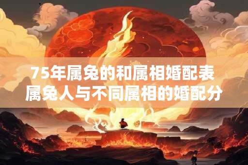 75年属兔的和属相婚配表 属兔人与不同属相的婚配分析