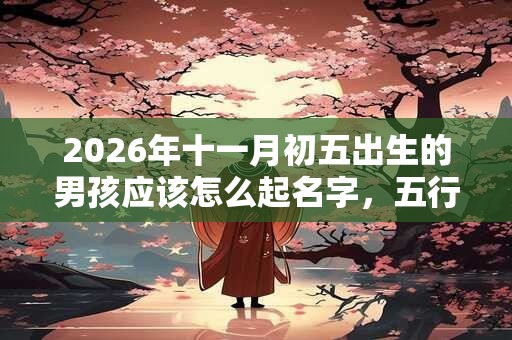 2026年十一月初五出生的男孩应该怎么起名字，五行属什么