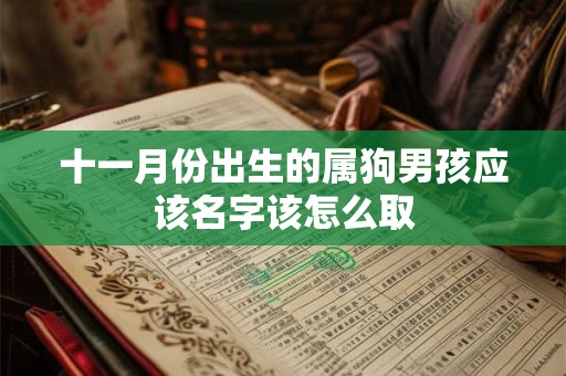 十一月份出生的属狗男孩应该名字该怎么取