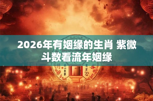 2026年有姻缘的生肖 紫微斗数看流年姻缘