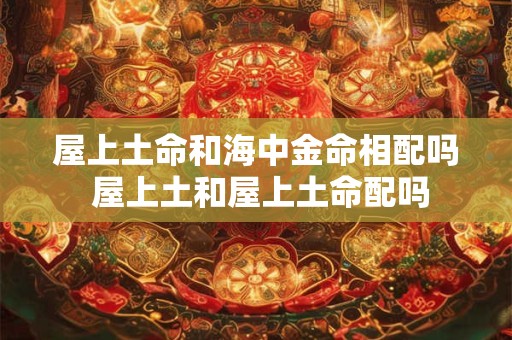 屋上土命和海中金命相配吗 屋上土和屋上土命配吗