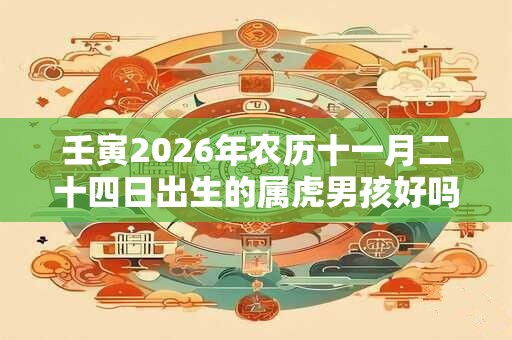 壬寅2026年农历十一月二十四日出生的属虎男孩好吗？