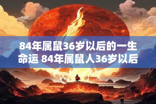 84年属鼠36岁以后的一生命运 84年属鼠人36岁以后运势