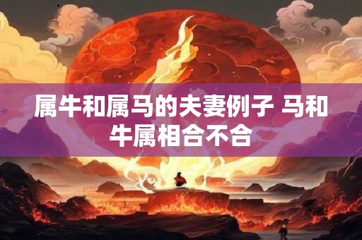 属牛和属马的夫妻例子 马和牛属相合不合