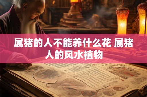 属猪的人不能养什么花 属猪人的风水植物