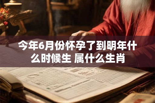 今年6月份怀孕了到明年什么时候生 属什么生肖