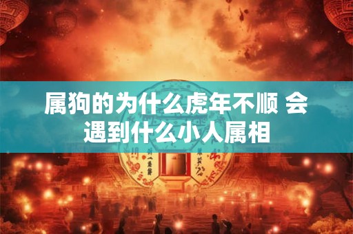 属狗的为什么虎年不顺 会遇到什么小人属相