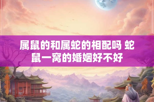 属鼠的和属蛇的相配吗 蛇鼠一窝的婚姻好不好