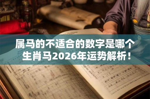属马的不适合的数字是哪个 生肖马2026年运势解析！