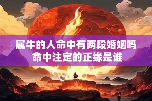 属牛的人命中有两段婚姻吗 命中注定的正缘是谁