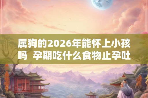属狗的2026年能怀上小孩吗  孕期吃什么食物止孕吐