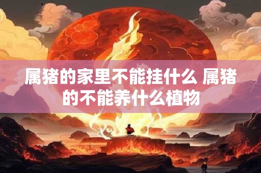 属猪的家里不能挂什么 属猪的不能养什么植物