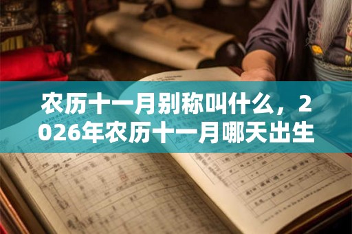 农历十一月别称叫什么，2026年农历十一月哪天出生好？
