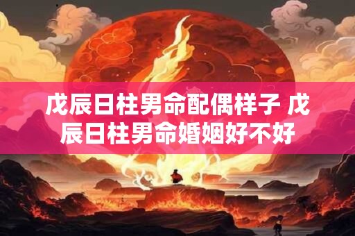 戊辰日柱男命配偶样子 戊辰日柱男命婚姻好不好