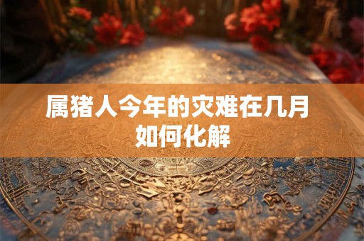 属猪人今年的灾难在几月 如何化解