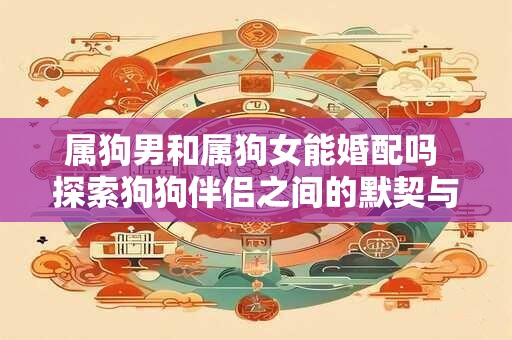属狗男和属狗女能婚配吗 探索狗狗伴侣之间的默契与和谐