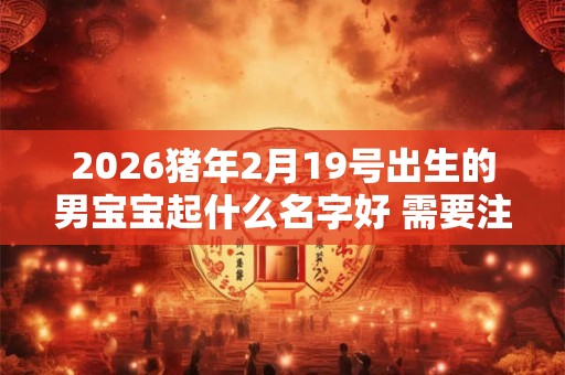 2026猪年2月19号出生的男宝宝起什么名字好 需要注意什么