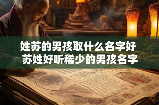 姓苏的男孩取什么名字好 苏姓好听稀少的男孩名字