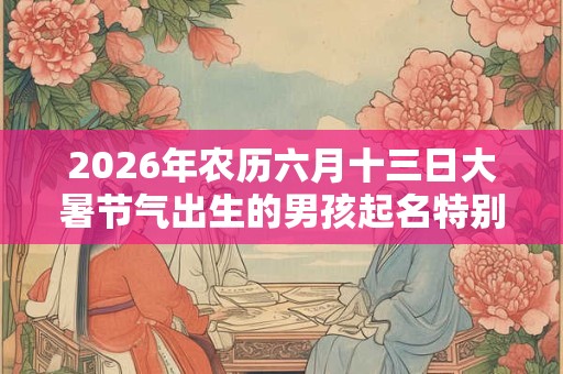 2026年农历六月十三日大暑节气出生的男孩起名特别的字