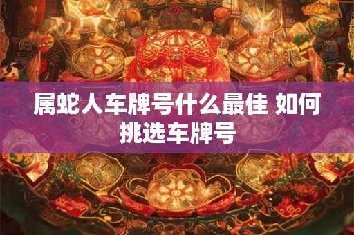 属蛇人车牌号什么最佳 如何挑选车牌号